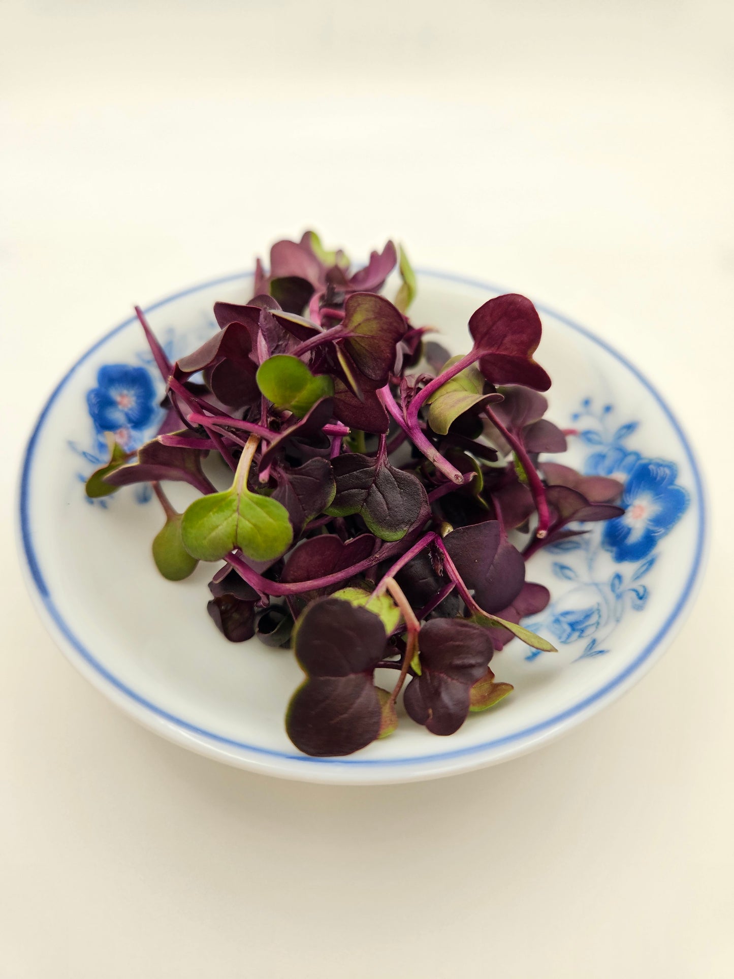 Sango Purple Radish